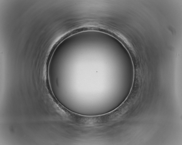 X0000111190791200907011411