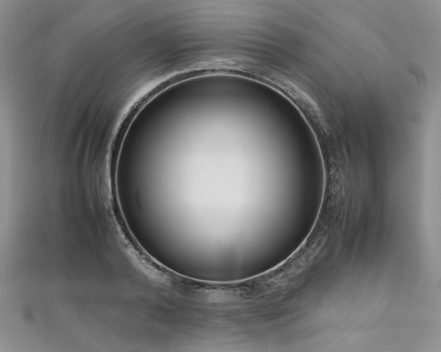 X0000111190792200907011411