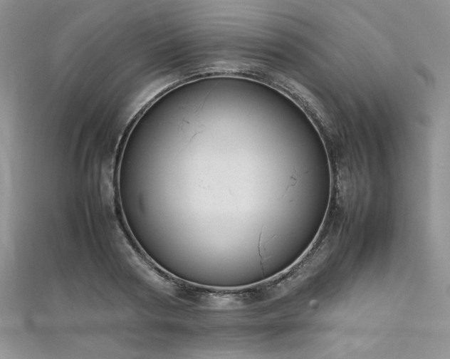 X0000111190794200907011411