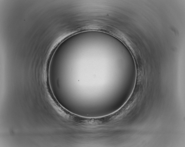 X0000111190795200907011411