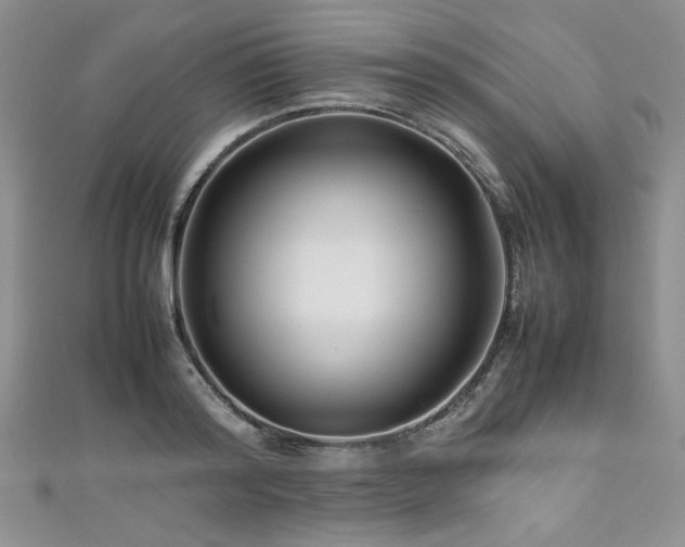 X0000111190796200907011411