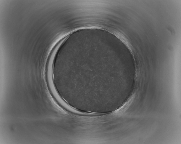 X0000111190797200907011411