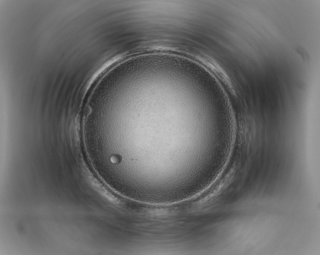 X0000111190798200907011411