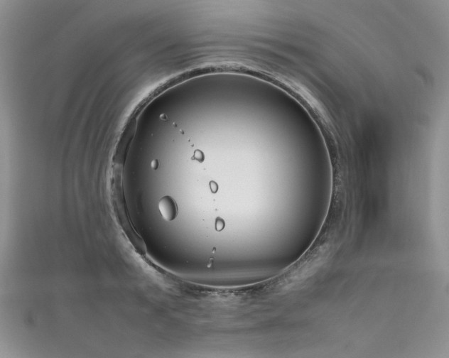 X0000111190799200907011411