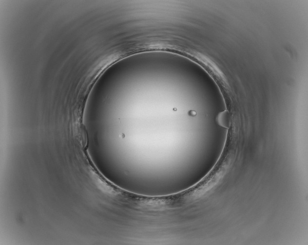 X0000111190801200907011411