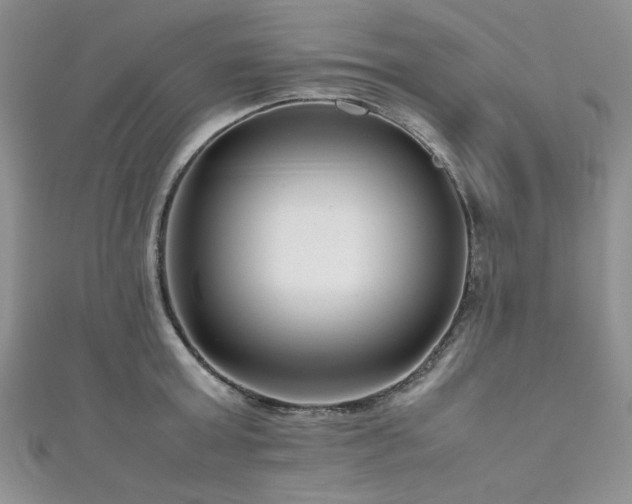 X0000111190803200907011411