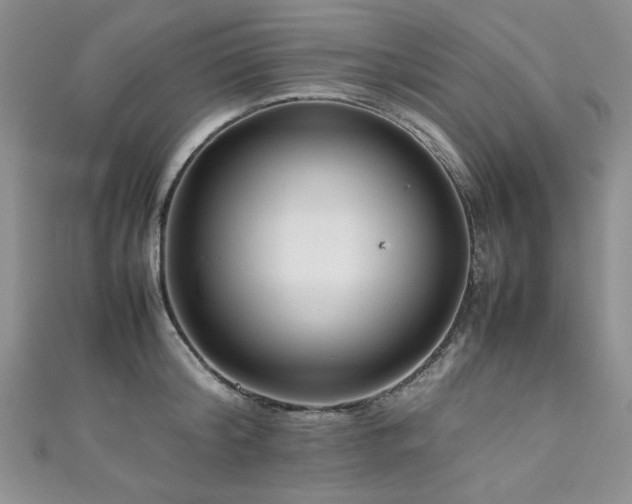 X0000111190804200907011411