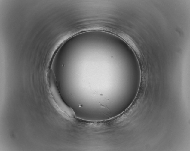 X0000111190805200907011411