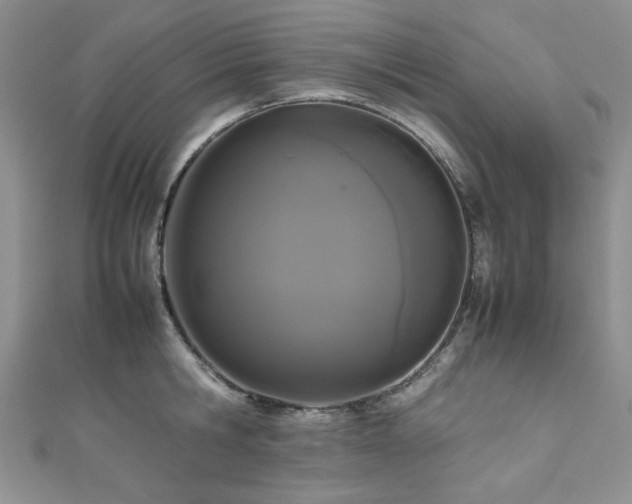 X0000111190806200907011411