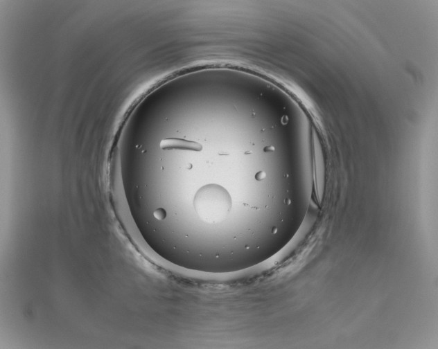 X0000111190807200907011411