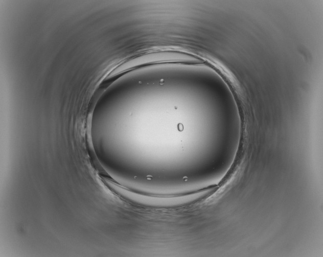 X0000111190809200907011411