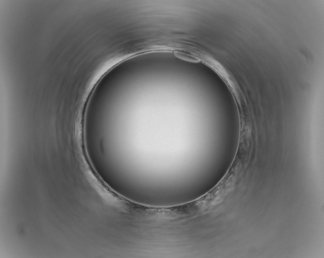 X0000111190811200907011410