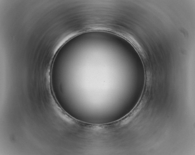 X0000111190814200907011410