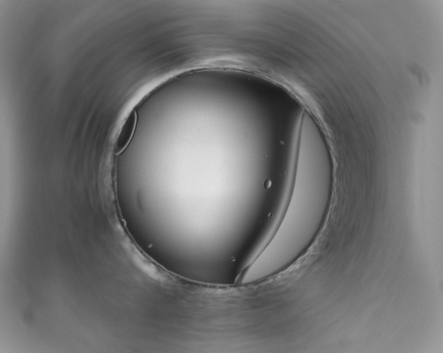 X0000111190816200907011410