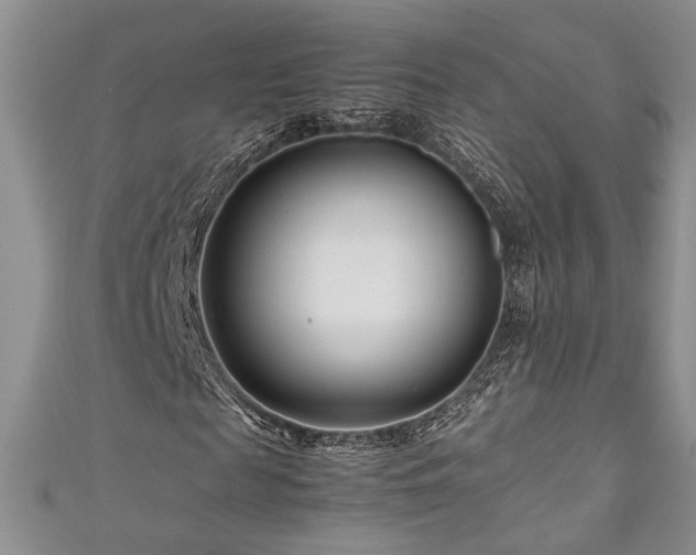 X0000111190817200907011410