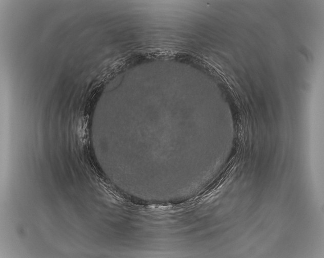 X0000111190818200907011410