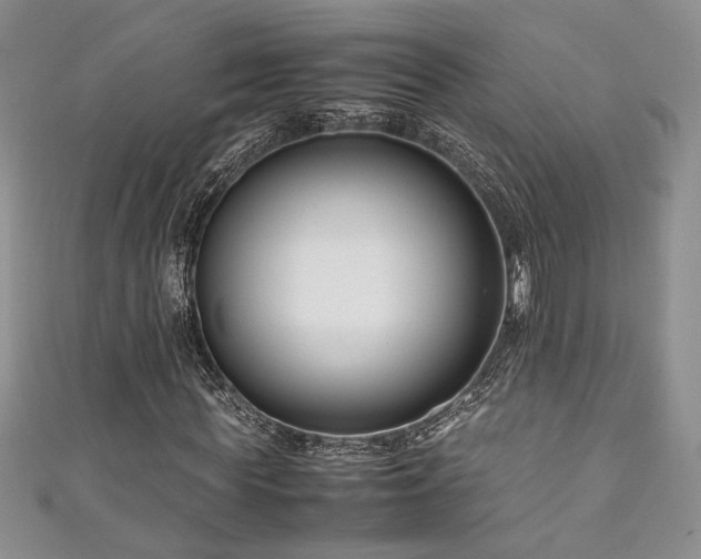 X0000111190819200907011410