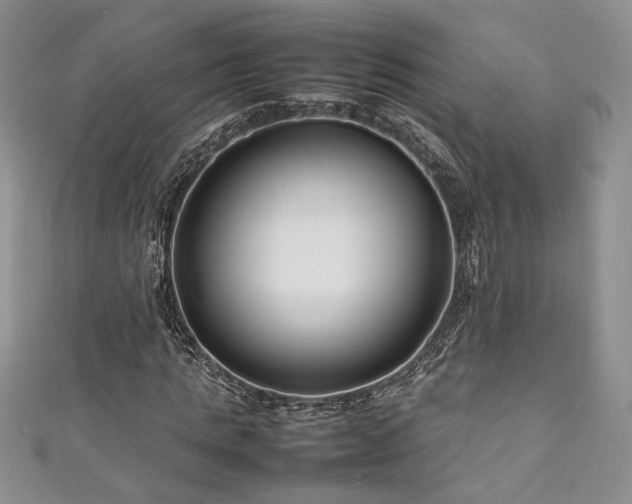 X0000111190821200907011410