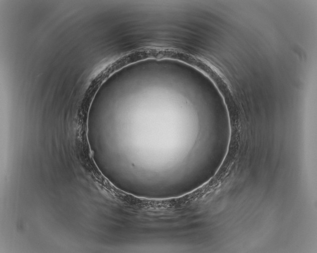 X0000111190823200907011410