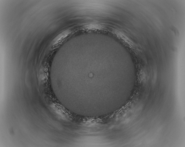 X0000111190824200907011410