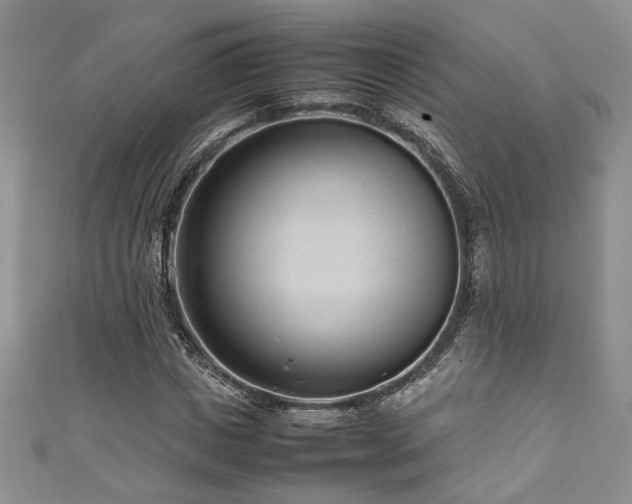 X0000111190825200907011410