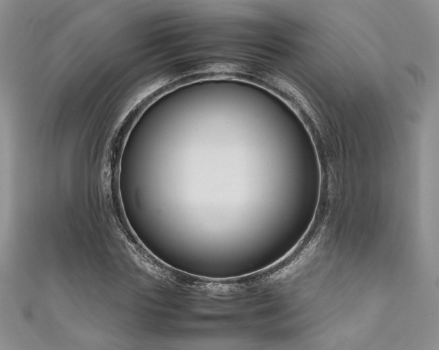 X0000111190827200907011410