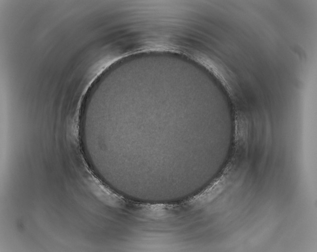 X0000111190828200907011410