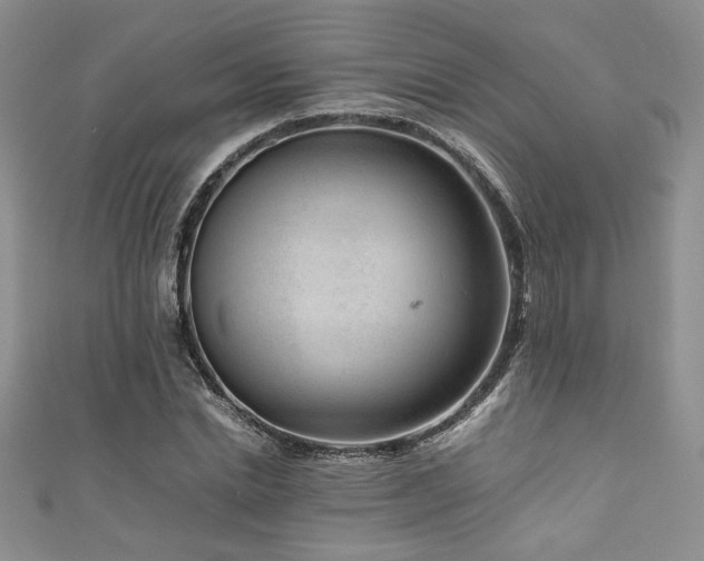 X0000111190830200907011410