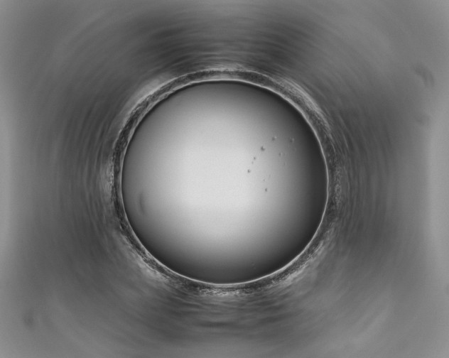 X0000111190831200907011410