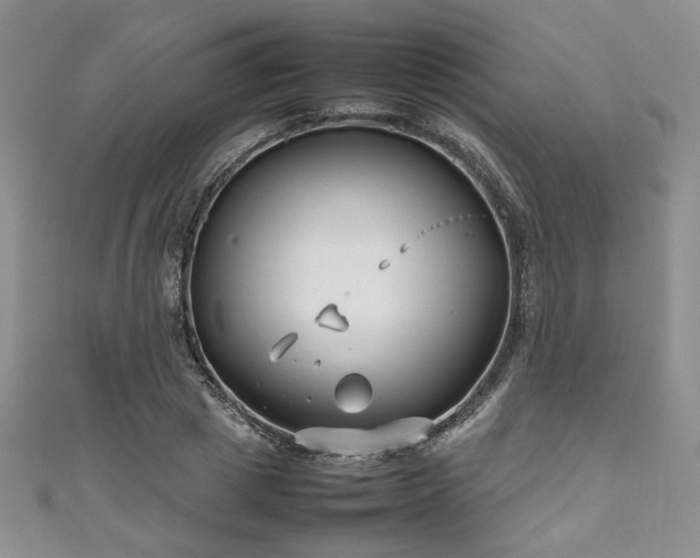 X0000111190833200907011410