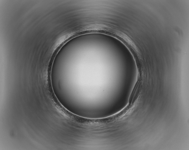 X0000111190834200907011410