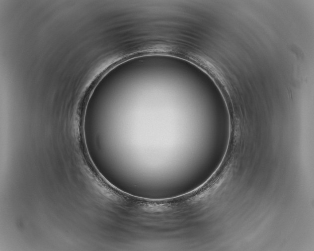 X0000111190835200907011410