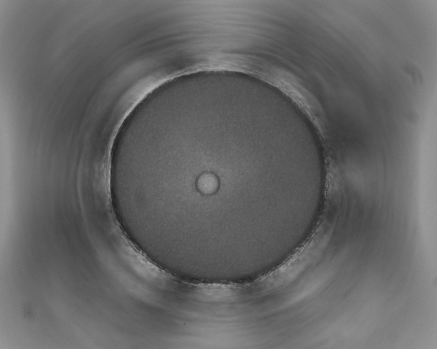 X0000111190836200907011410