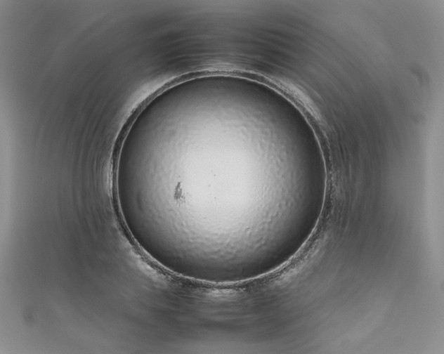 X0000111190839200907011410