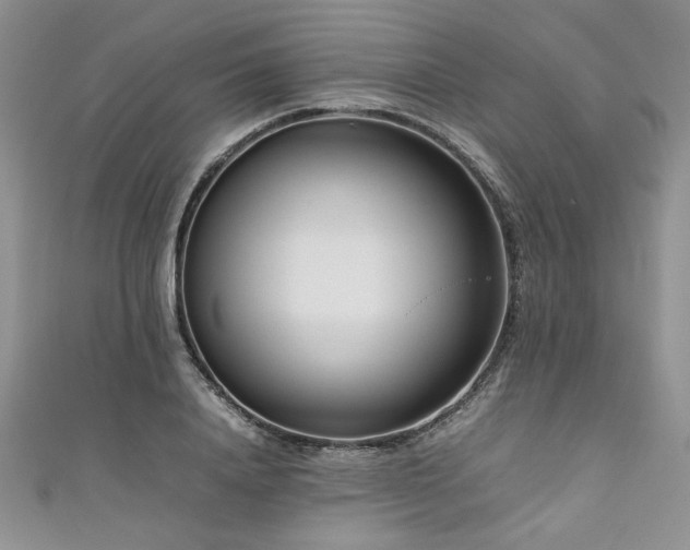 X0000111190840200907011410