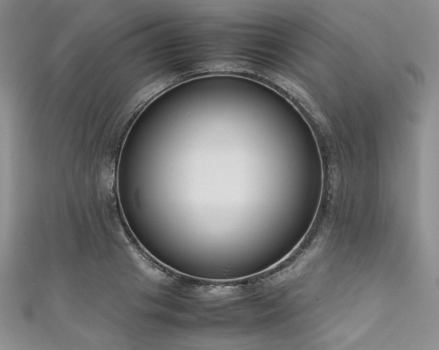 X0000111190841200907011410