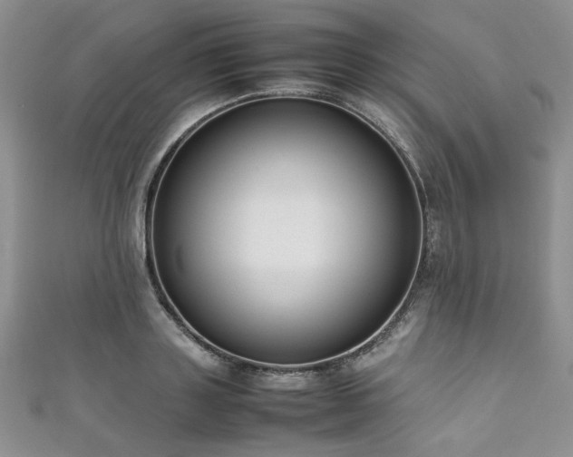 X0000111190843200907011410