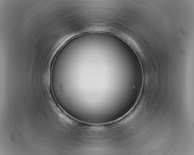 X0000111190844200907011410