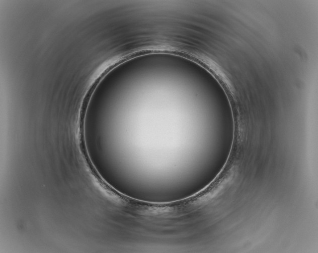 X0000111190845200907011410