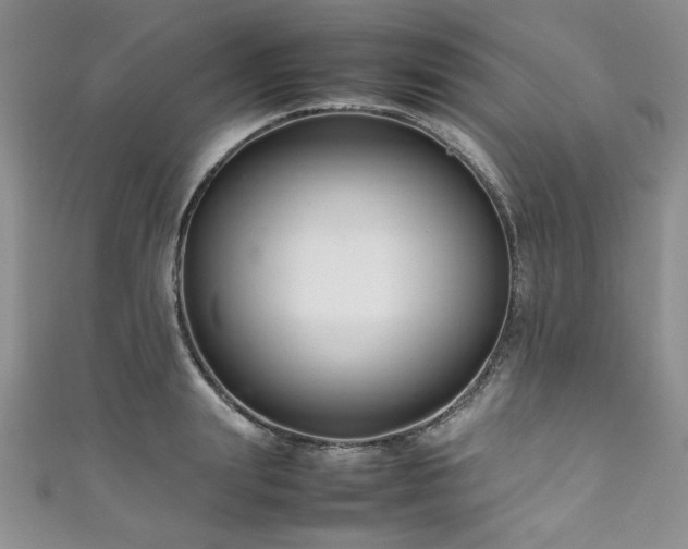 X0000111190847200907011410