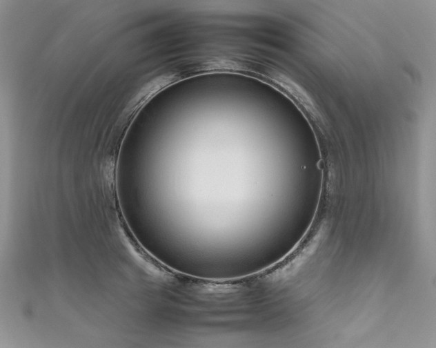 X0000111190849200907011410