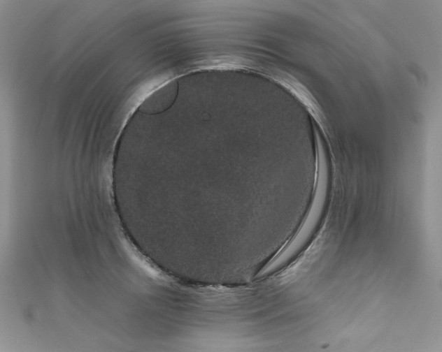 X0000111190850200907011410