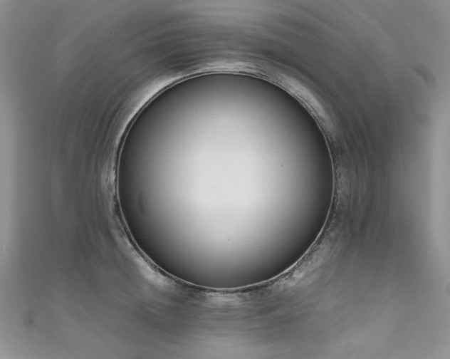 X0000111190852200907011410