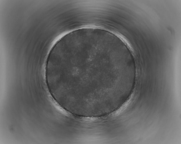 X0000111190854200907011410