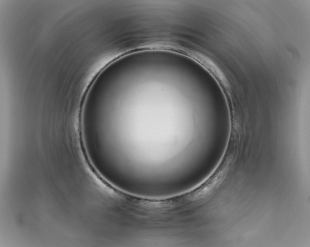 X0000111190855200907011410