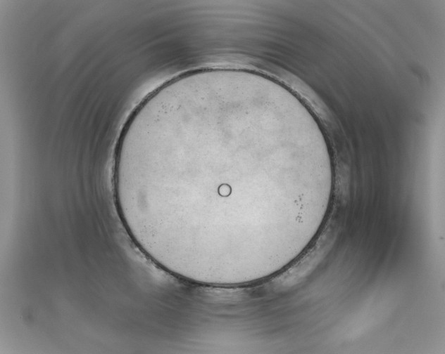 X0000111190856200907011410