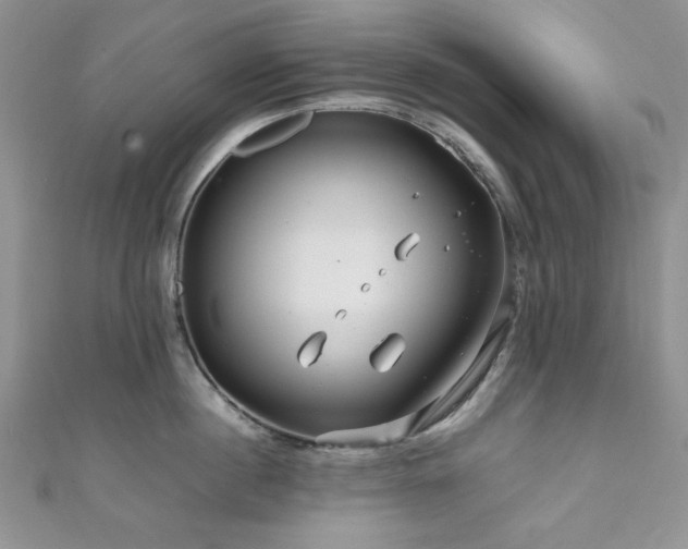 X0000111190860200907011410