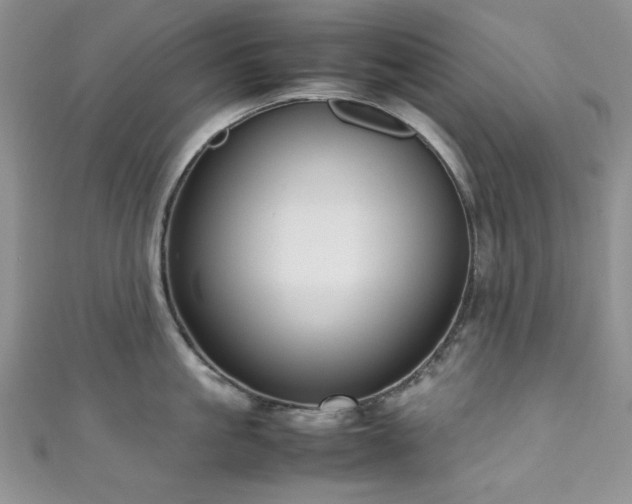 X0000111190861200907011410