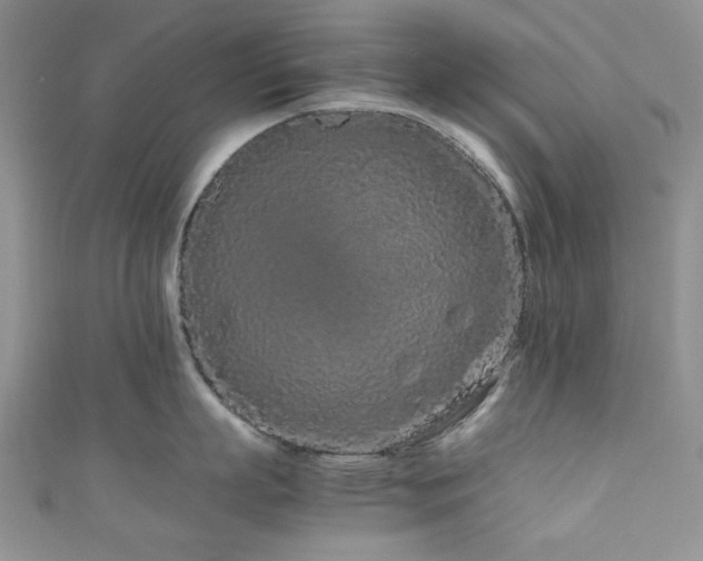 X0000111190863200907011410