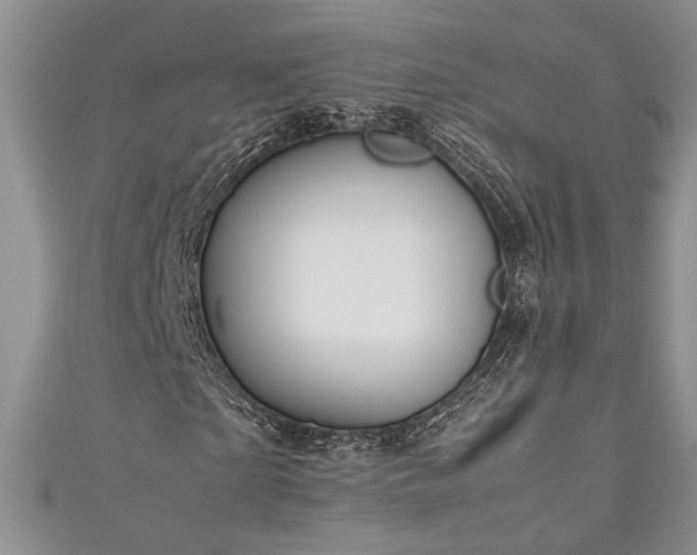 X0000111190865200907011410